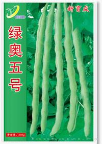 绿奥五号