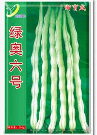 绿奥六号