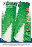新太原二青