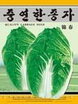 锦春