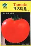 博大红星