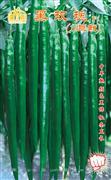黑玫瑰——线椒类