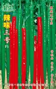 辣味三号——线椒类