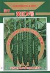 黄瓜园丰6号