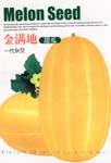 金满地