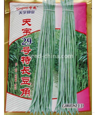 天宇29号特长豆角