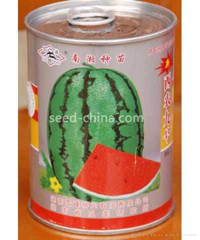 西农九号（罐）