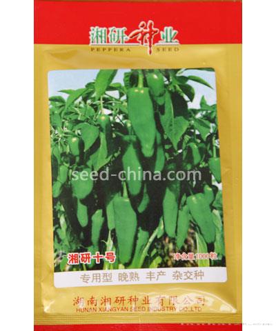 湘研十号