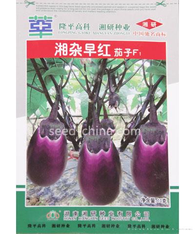 湘杂早红