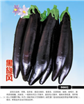 农百万 黑旋风