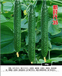 新时代35
