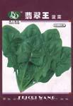 翡翠王