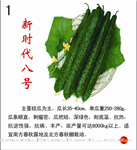 新时代8号