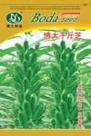 博大千金芝