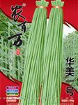 华美一号