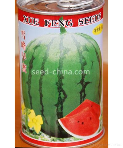 雪峰早蜜（罐）