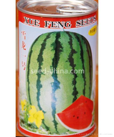 雪龙一号（罐）