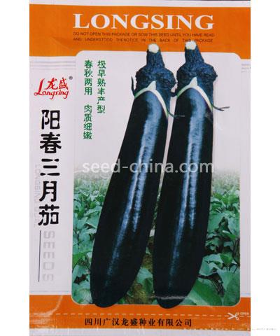 阳春三月茄