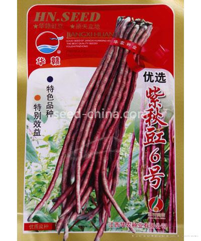 优选紫秋豇6号