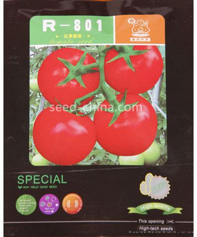 R-801