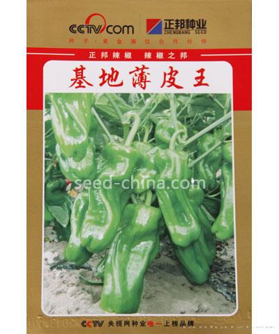 基地薄皮王