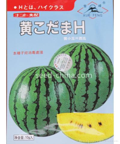 黄小玉西瓜
