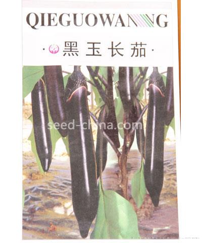 黑玉长茄