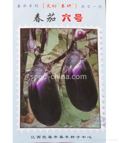 春茄六号
