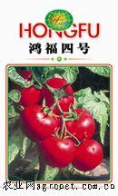 供应鸿福HX02-番茄种子