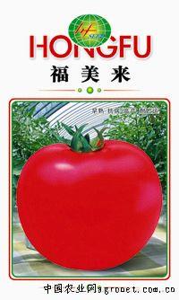 供应福美来-番茄种子