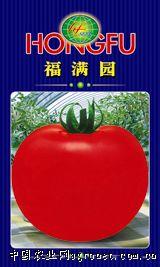 供应福满园-番茄种子