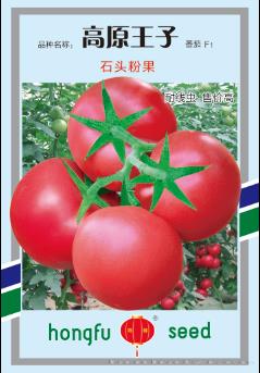 供应高原王子石头番茄—番茄种子