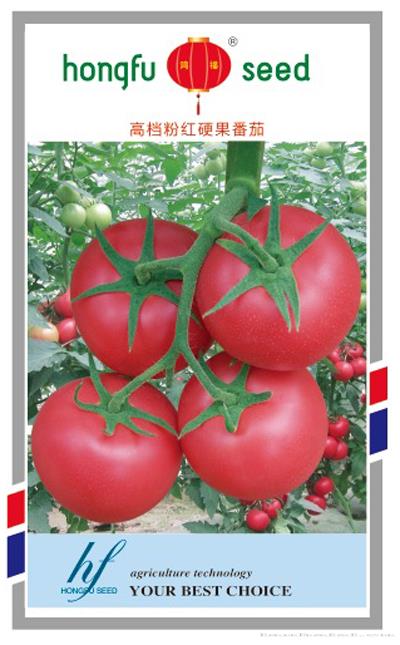 供应高档粉红硬果番茄—番茄种子