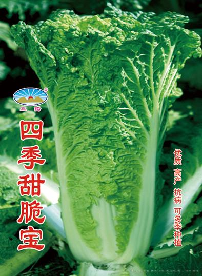 四季甜脆宝