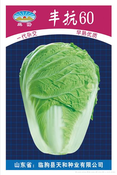 丰抗60