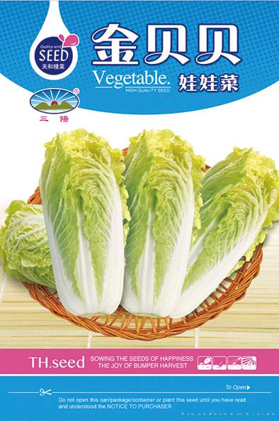 金贝贝娃娃菜