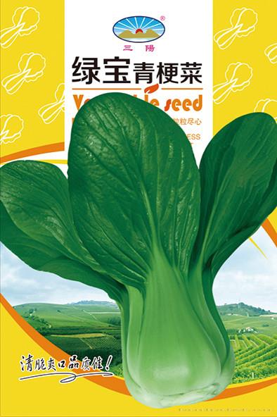 绿宝青梗菜