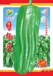 懂记椒王