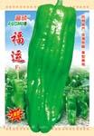 福运