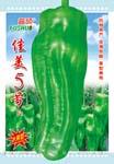 佳美5号