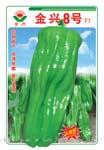 金兴8号