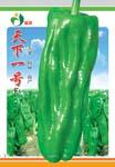天下一号