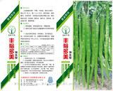 丰裕多美