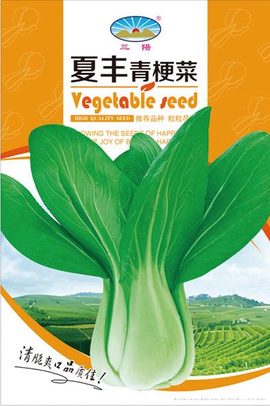 夏丰青梗菜