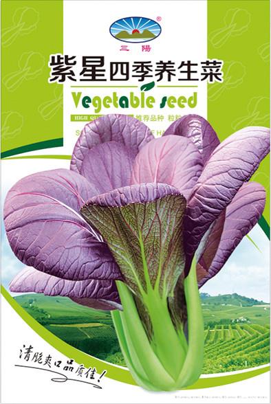 紫星四季养生菜