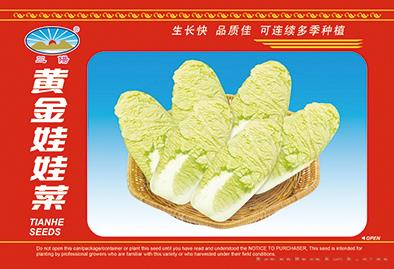 黄金 娃娃菜