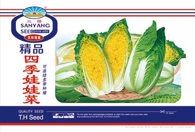 四季娃娃菜