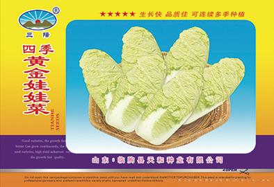黄金娃娃菜