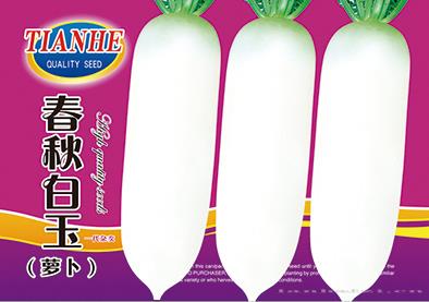 金秋白玉萝卜