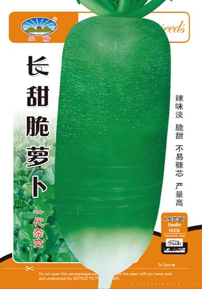 长甜脆萝卜